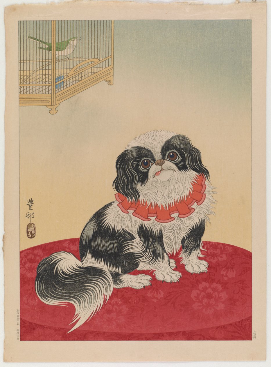 Cão pequinês, c.1930 (impressão em xilogravura a cores) de Ohara Koson