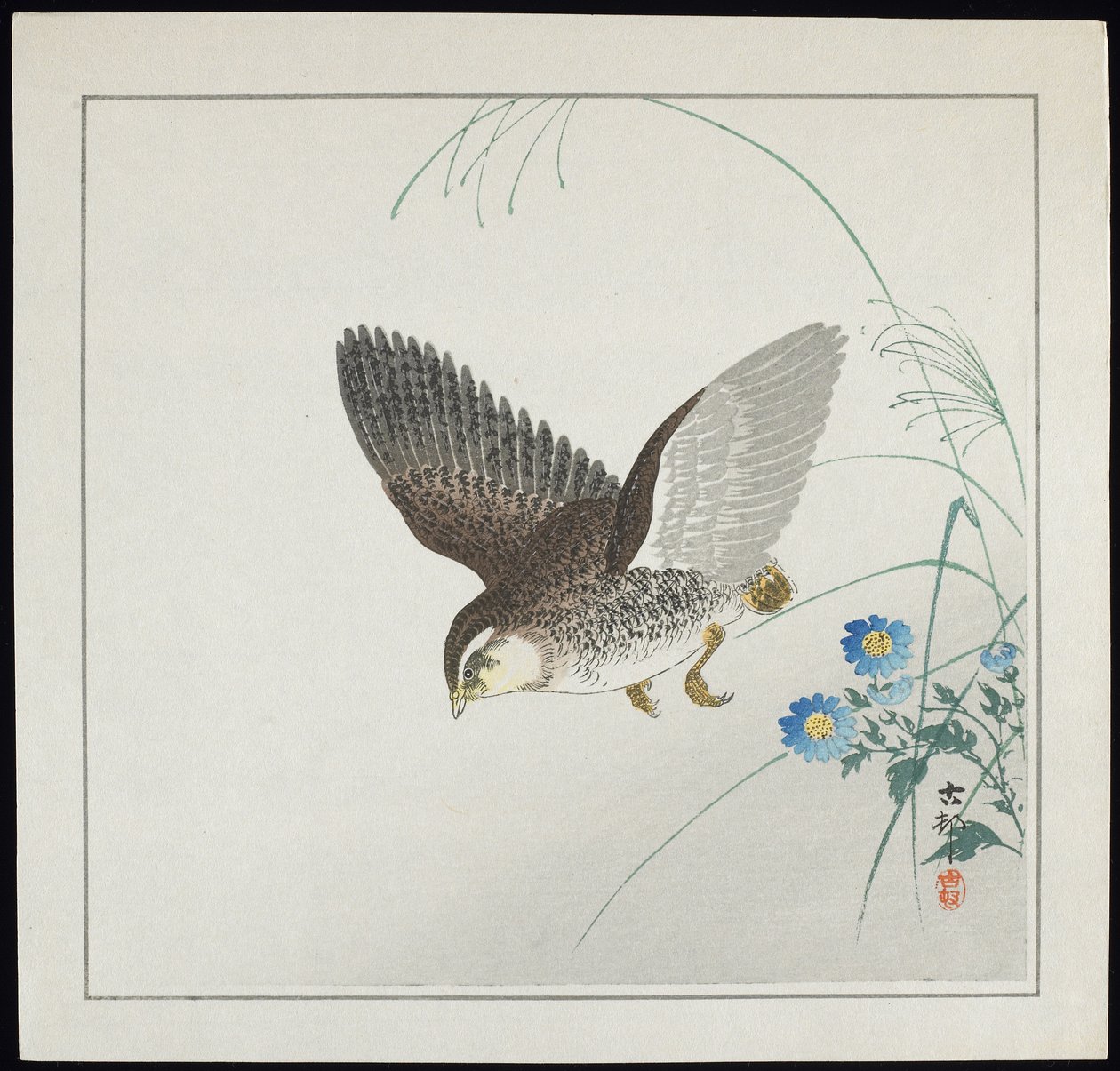 Codorna em vôo, pré-1912 de Ohara Koson