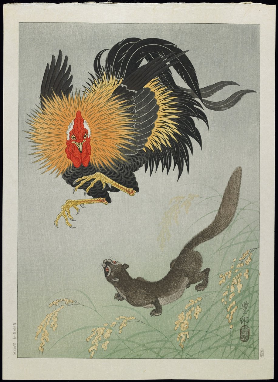 Galo e doninha, década de 1930 de Ohara Koson