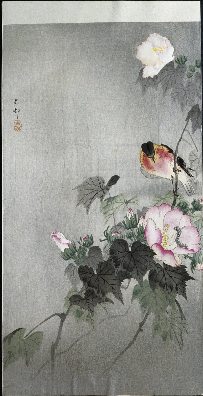 Cartaxo e flor florescendo, 1907 de Ohara Koson