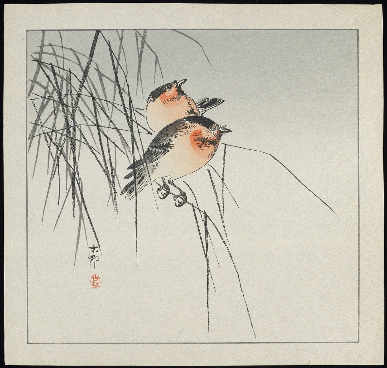 Dois pássaros em juncos, pré-1912 de Ohara Koson