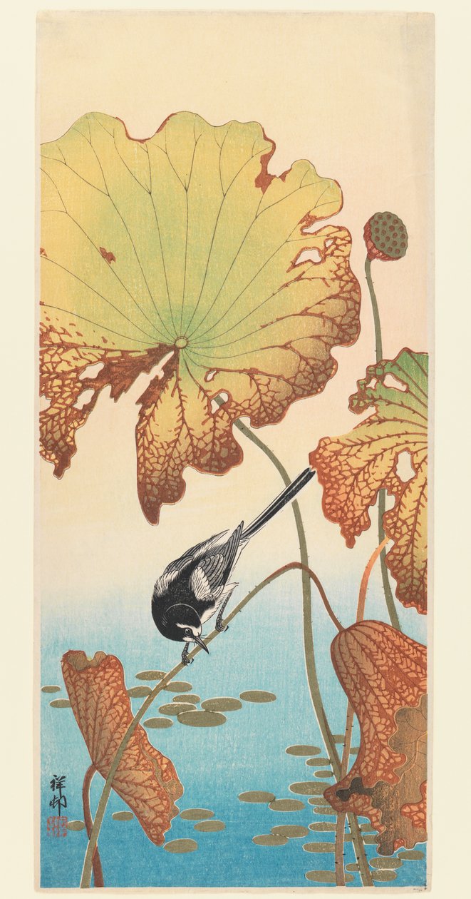 Alvéola e Lotus, c.1915 (impressão em xilogravura) de Ohara Koson