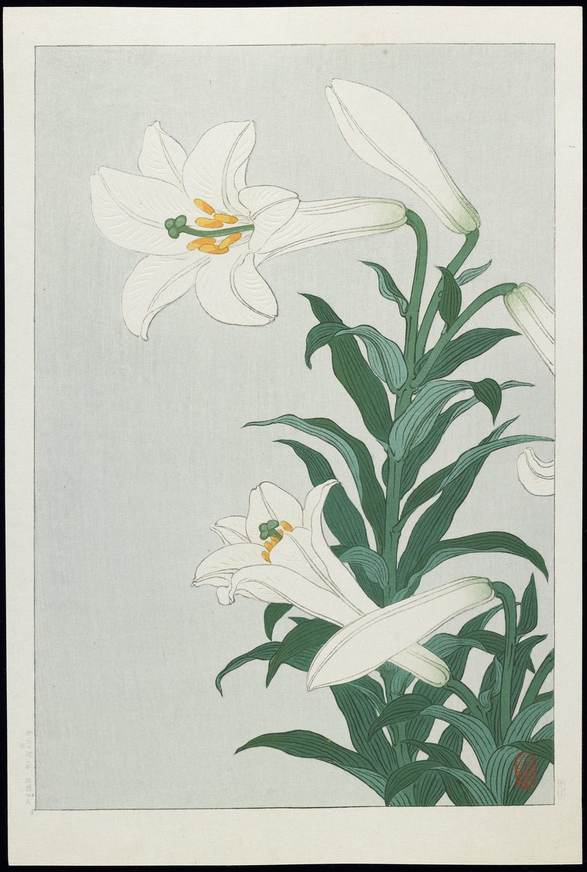 Lírio branco, década de 1930 (impressão em xilogravura a cores) de Ohara Koson