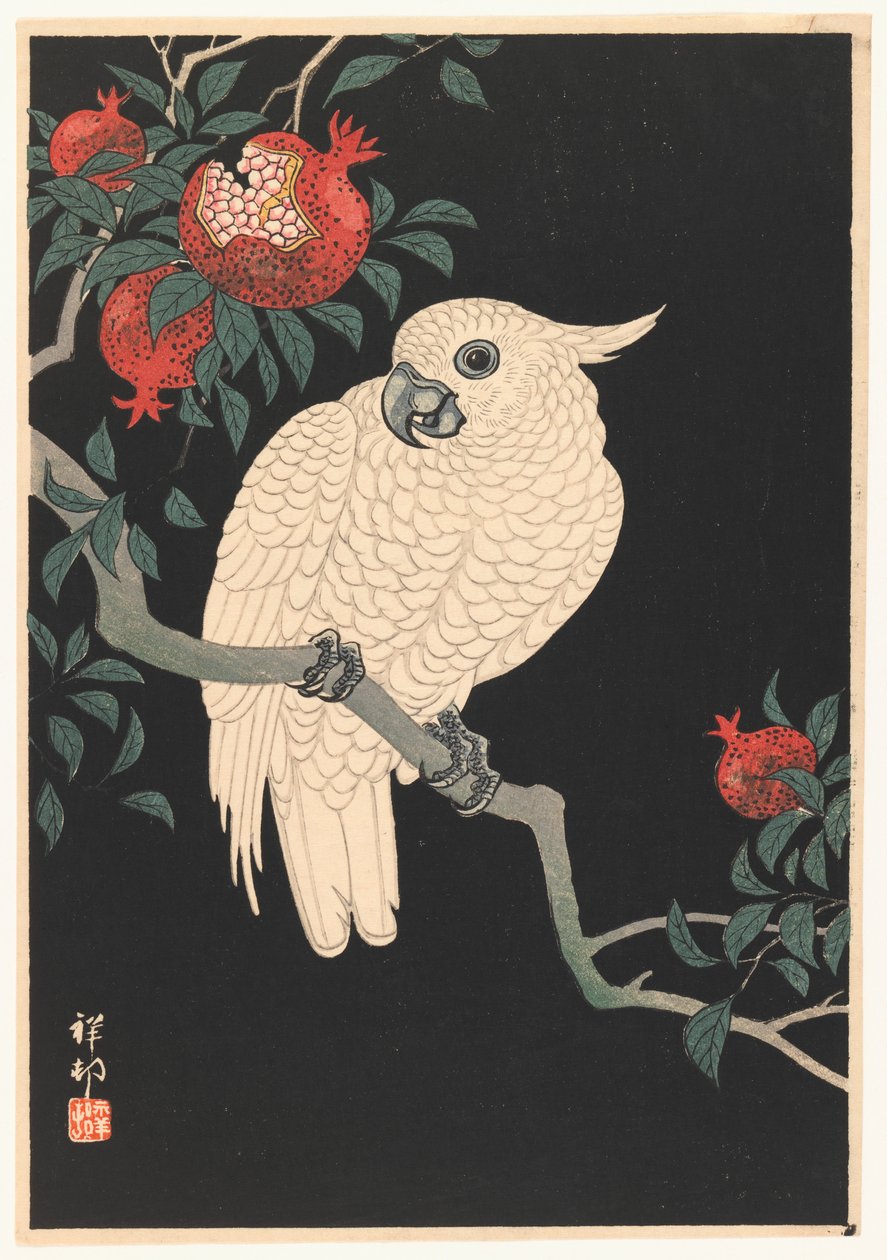 Papagaio Branco e Romã, 1927-1989 (xilogravura) de Ohara Koson