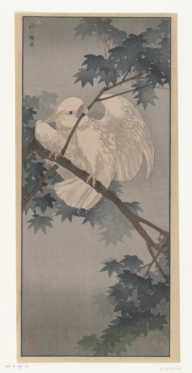 Cacatua de crista amarela na árvore de Ohara Koson (attributed to)