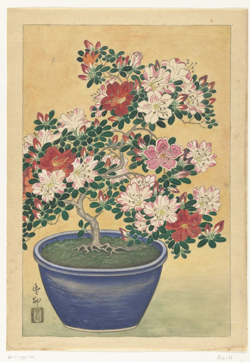 Azálea florida em vaso azul de Ohara Koson (signed by artist)