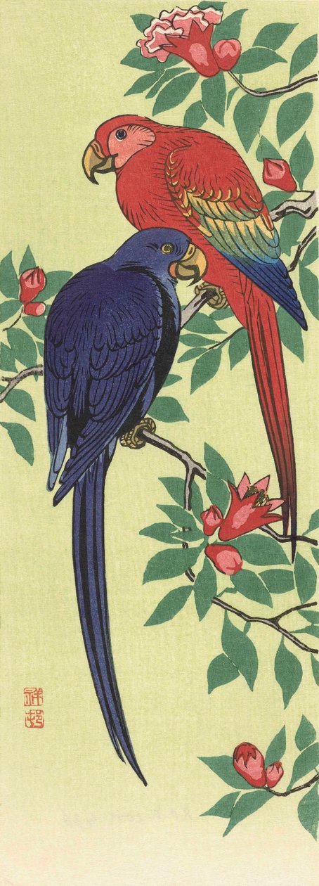 Um Papagaio Vermelho e um Papagaio Azul, do artista japonês Ohara Koson de Ohara Koson