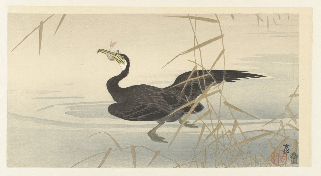 Cormorante com peixe de Ohara Koson