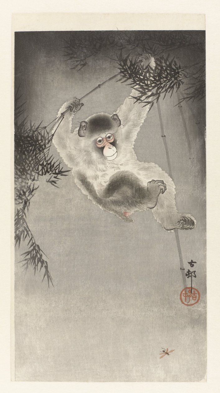 Macaco, pendurado num ramo de bambu de Ohara Koson