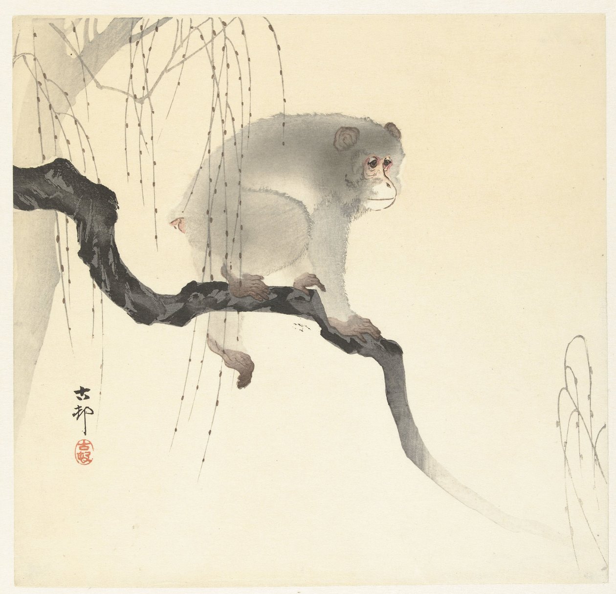 Macaco sobre ramo de árvore de Ohara Koson