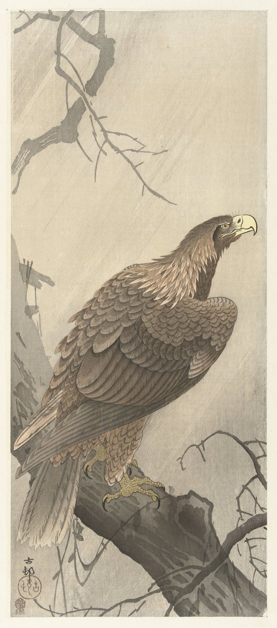 Águia sobre ramo de árvore de Ohara Koson