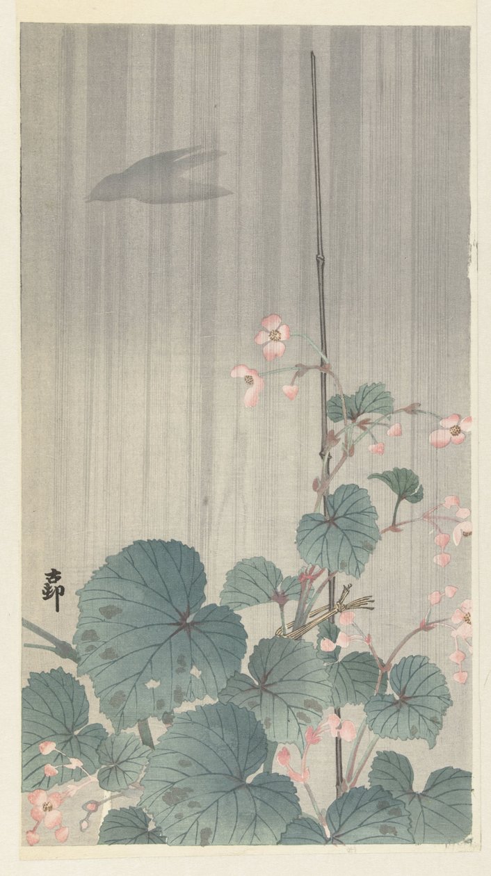 Begonia à chuva de Ohara Koson