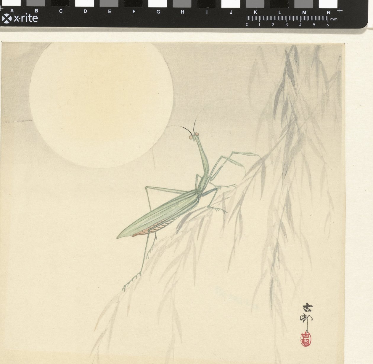 Louva-Deus de Ohara Koson