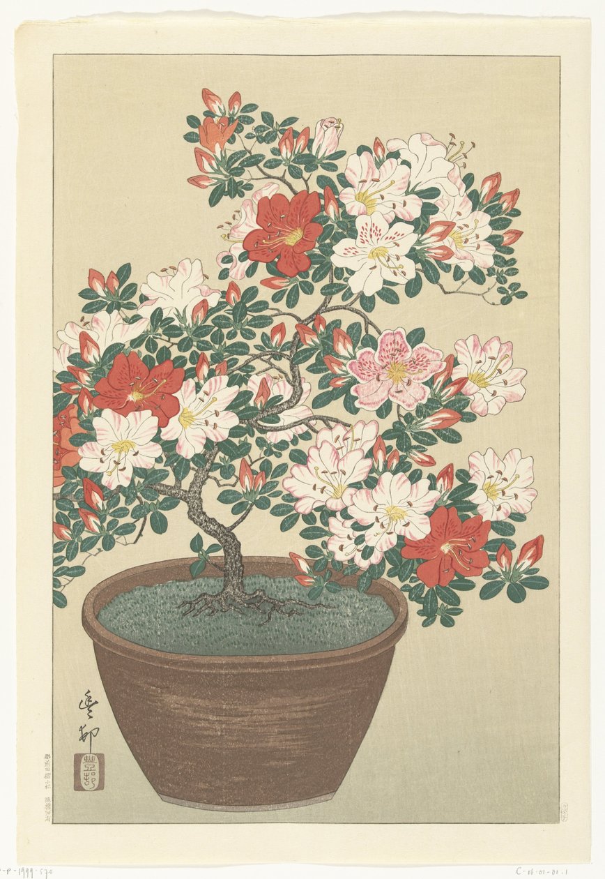 Azálea florida em vaso castanho de Ohara Koson
