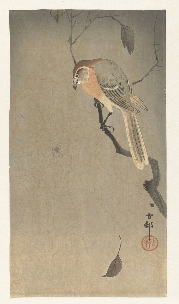 Picanço e aranha de cabeça de búfalo de Ohara Koson
