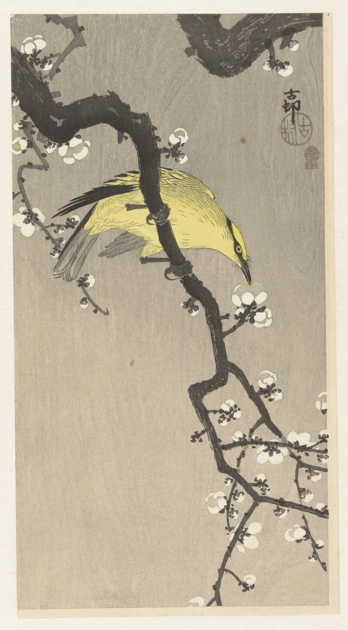 Oriole chinês em ramo de flor de ameixa de Ohara Koson