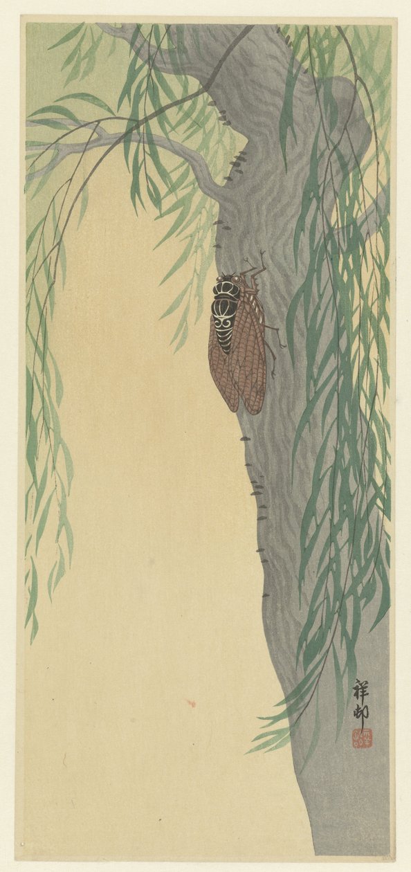 Cigarra numa árvore de Ohara Koson