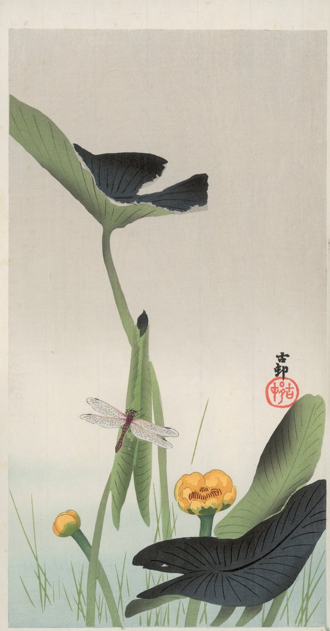 Libélula e Lotus (impressão em bloco de madeira a cores) de Ohara Koson