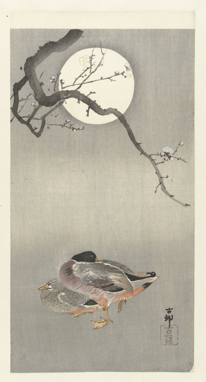 Patos na lua cheia de Ohara Koson