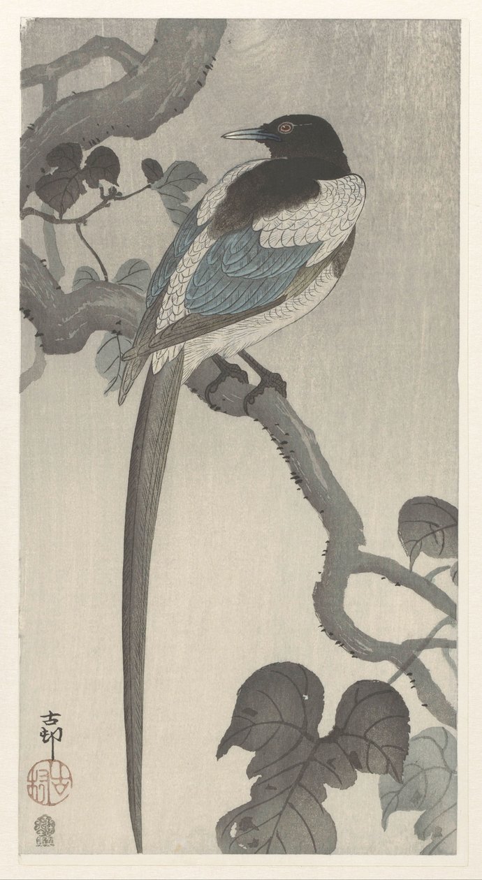 Pega em ramo de árvore de Ohara Koson