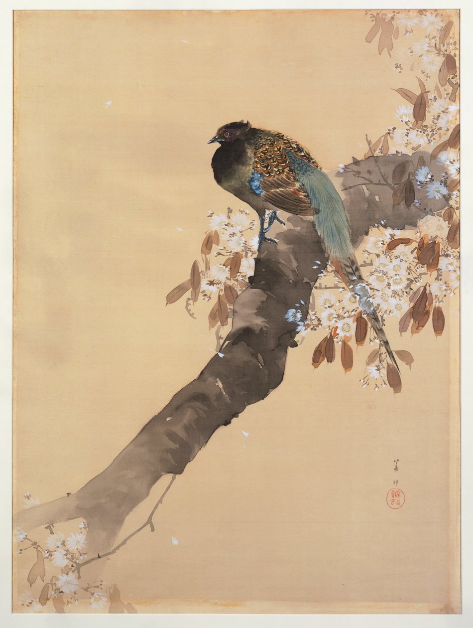 Faisão sobre ramo de flor de cerejeira de Ohara Koson