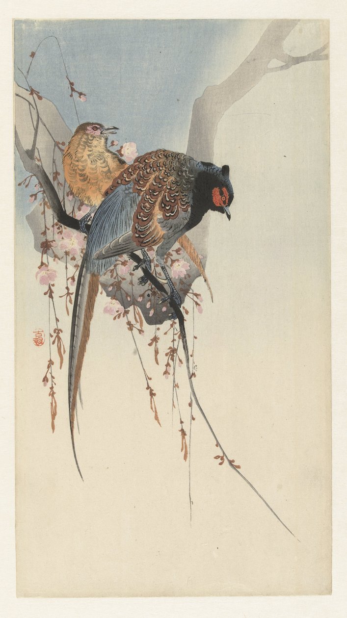 Casal de faisão e flor de ameixa de Ohara Koson