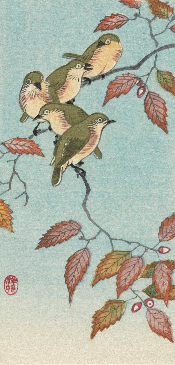 Cinco Pequenas Aves num Galho, do artista japonês Ohara Koson de Ohara Koson