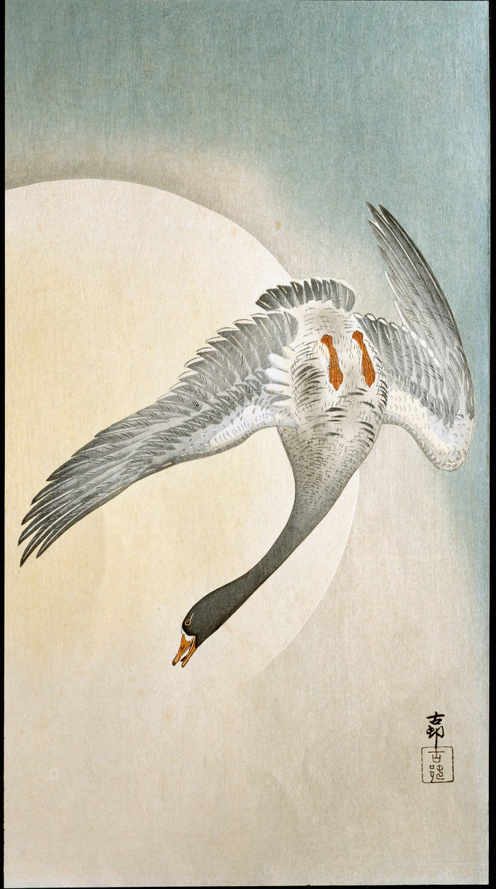 Voo de pato ao luar Xilografia e impressão japonesa por Ohara Koson (1877-1945) 1908 Coleção privada DR de Ohara Koson