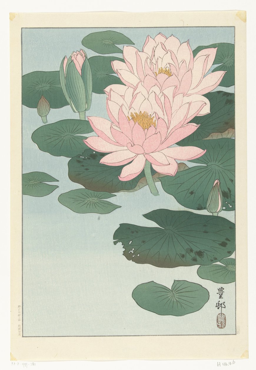 Nenúfar florido de Ohara Koson