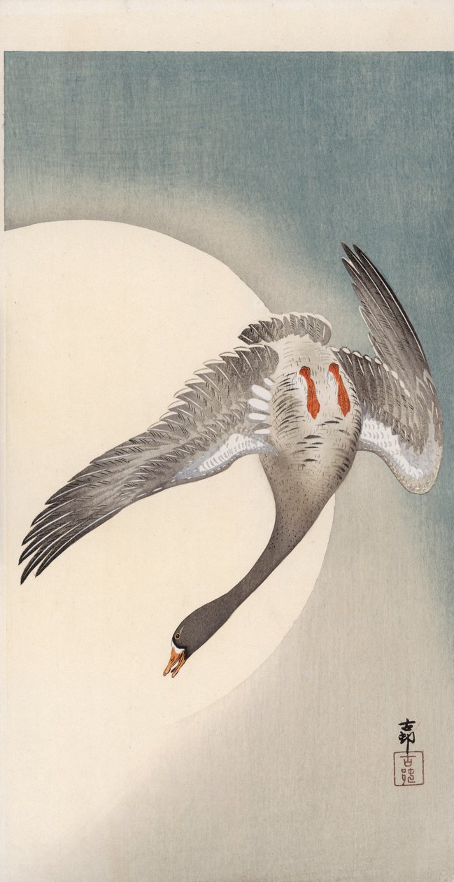 Ganso voador de testa branca visto de baixo em frente à lua (impressão a cores de bloco de madeira) de Ohara Koson