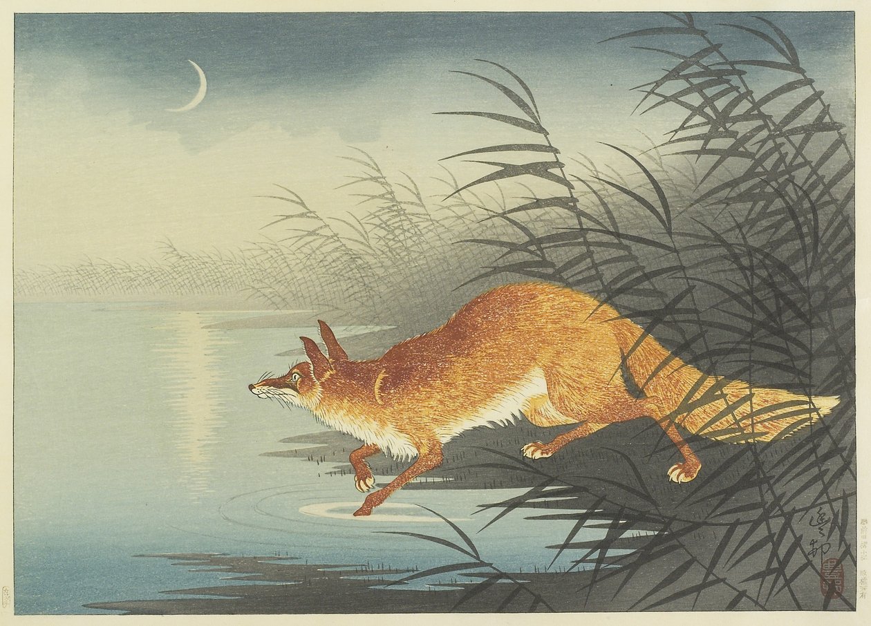 Fox pela água enluarada, década de 1930 (impressão em xilogravura a cores) de Ohara Koson