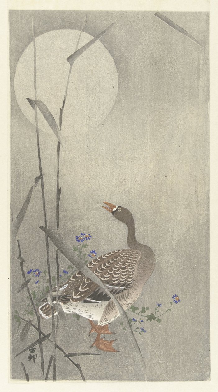 Ganso na lua cheia de Ohara Koson