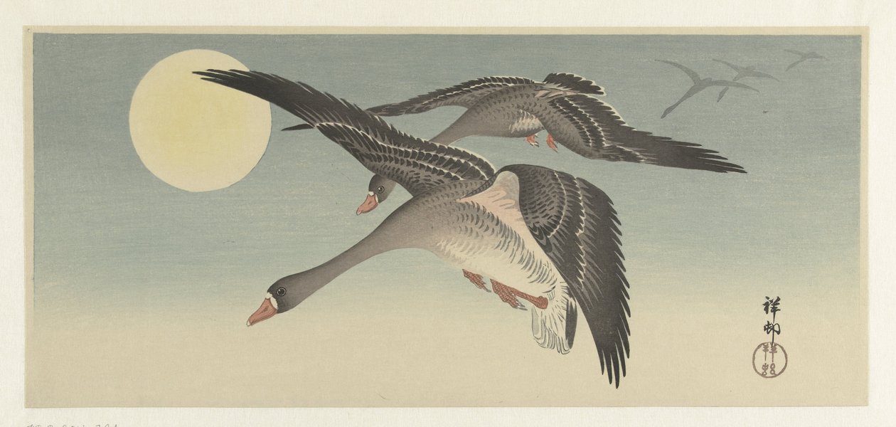 Gansos na lua cheia de Ohara Koson