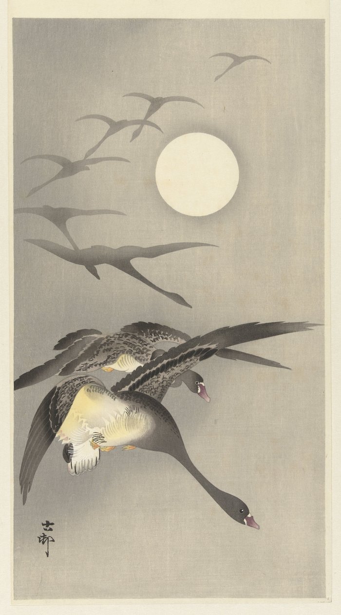 Gansos na lua cheia de Ohara Koson