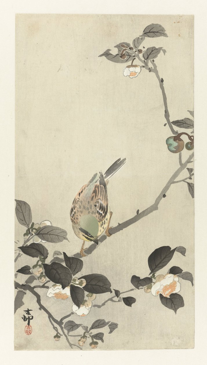 Bunting no ramo de floração de Ohara Koson