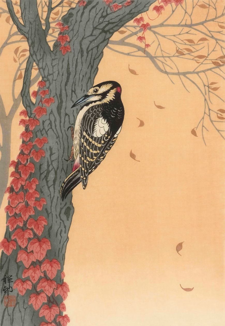 Grande Pica-pau manchado em Árvore com Hera Vermelha, século XX (estampa japonesa) de Ohara Koson