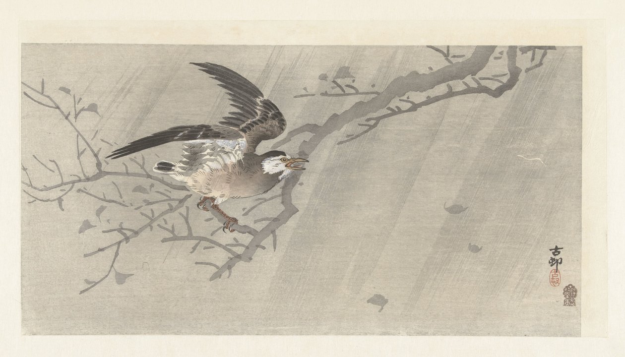 Estorninho cinzento na tempestade de Ohara Koson