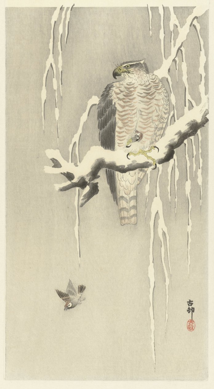 Falcão com pardal de capim em cativeiro. de Ohara Koson