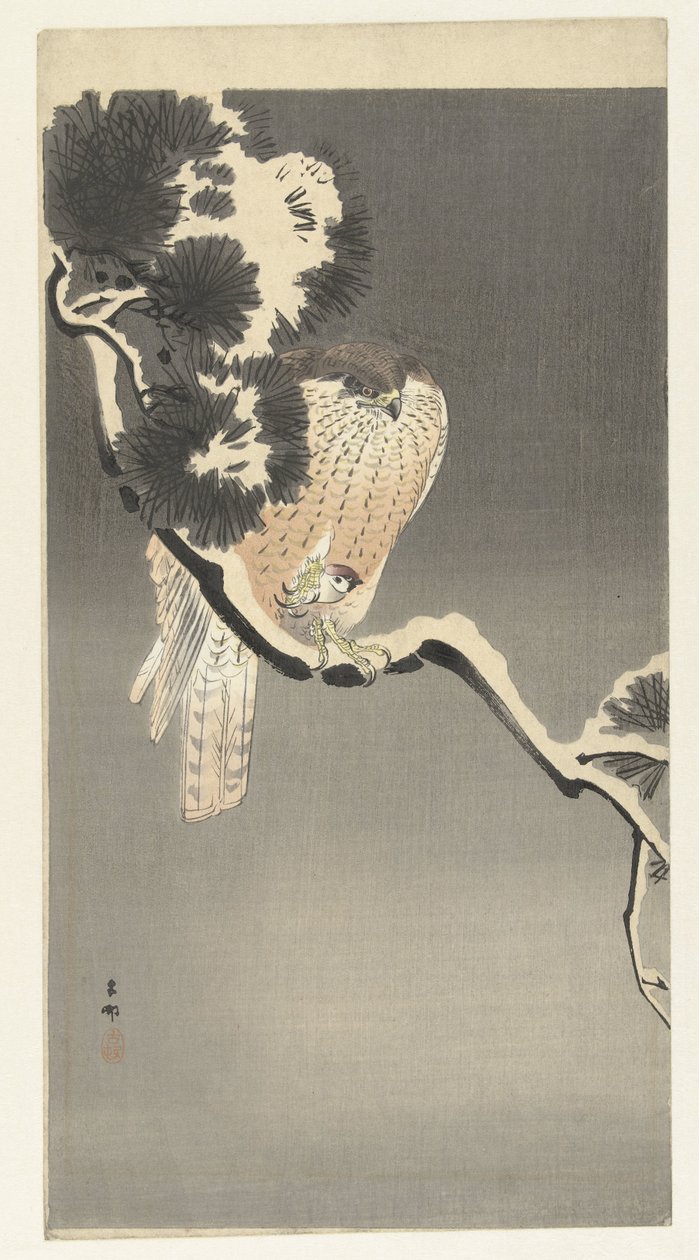 Goshawk com pardal de Ohara Koson