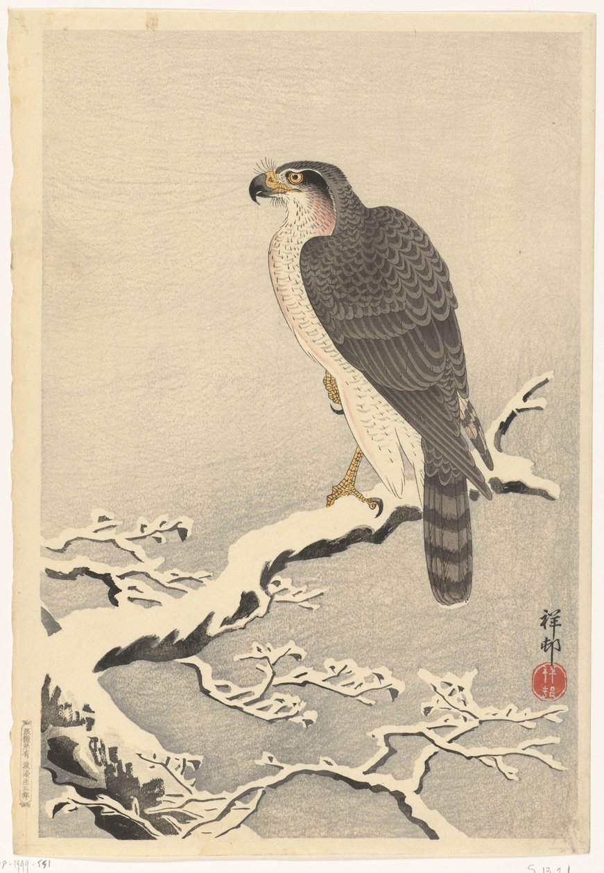 Falcão no galho nevado de pinheiro de Ohara Koson