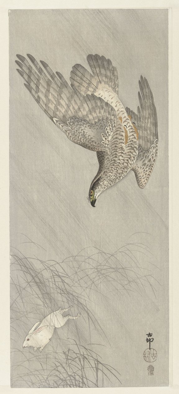 Lebre de caça Goshawk de Ohara Koson