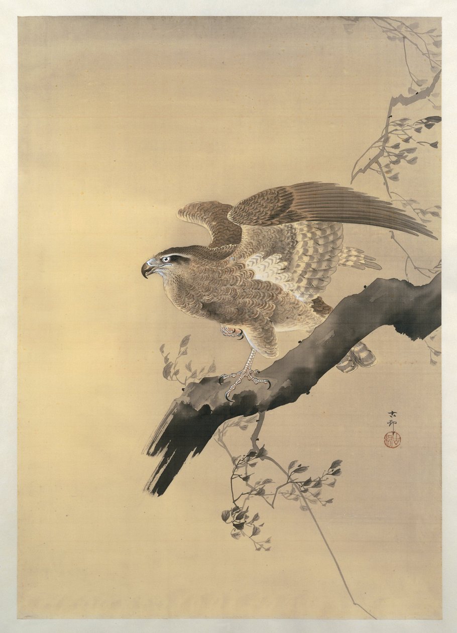 Falcão (pincel) de Ohara Koson