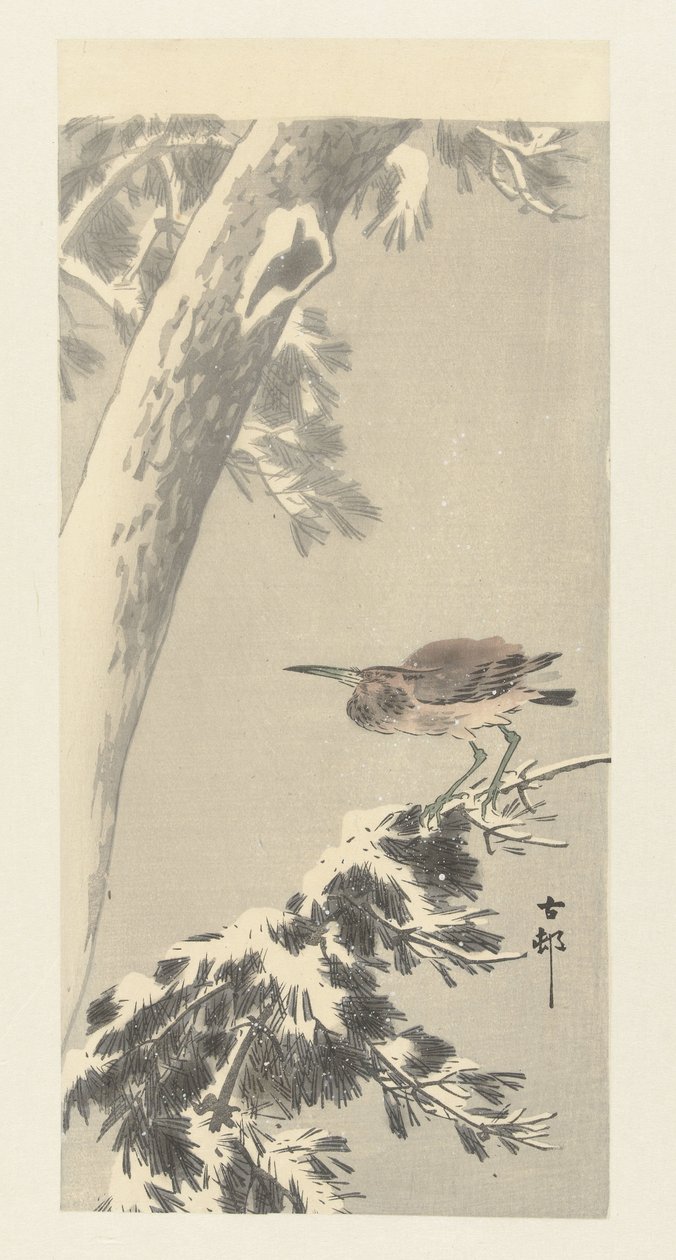 charlatão indiano em ramo de árvore com neve de Ohara Koson