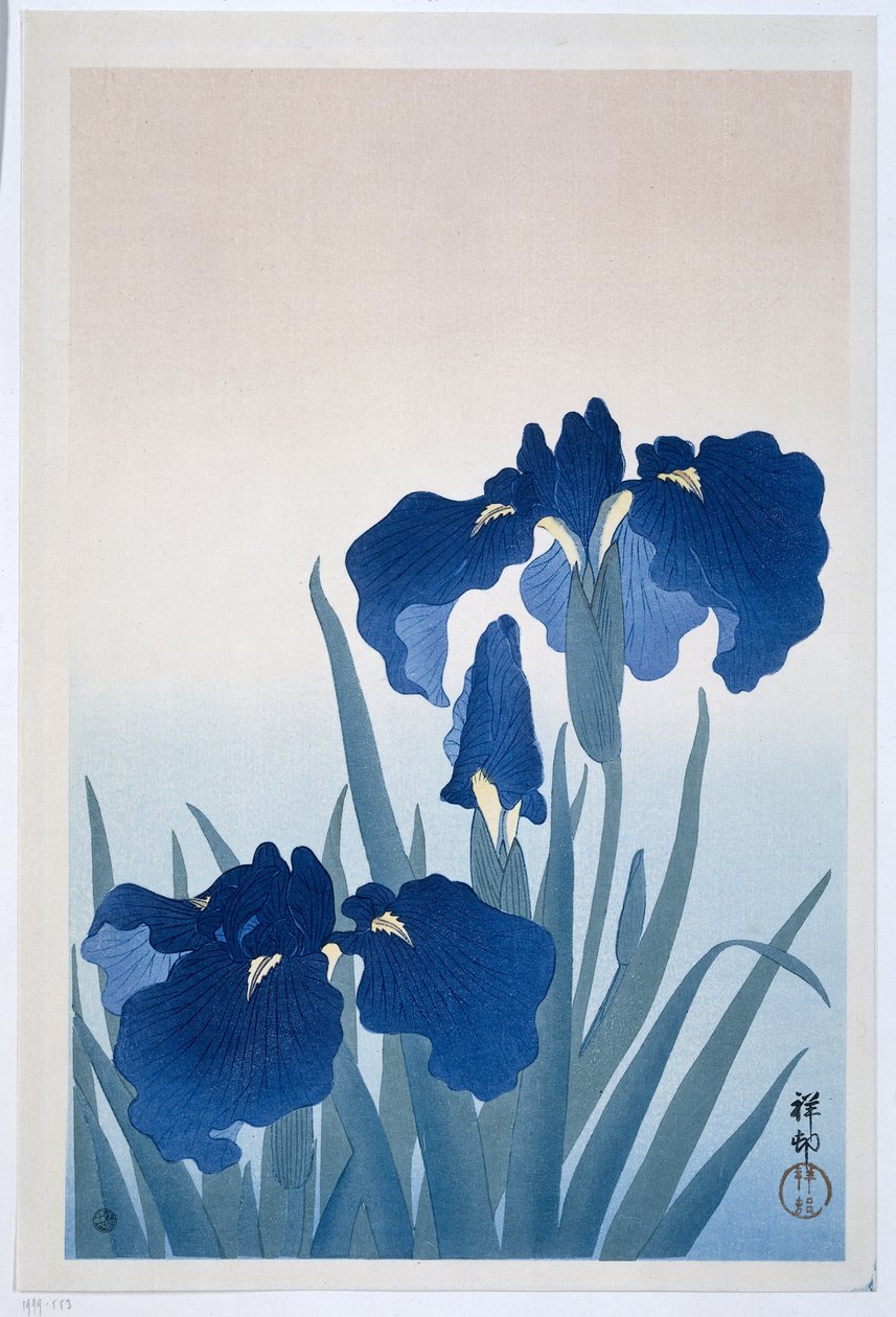 Íris, 1925-36 (impressão em xilogravura) de Ohara Koson