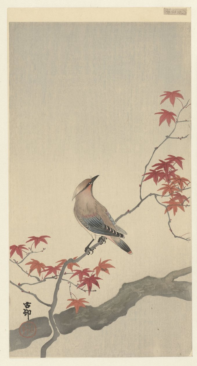 Pássaro da peste japonesa no bordo do bordo. de Ohara Koson