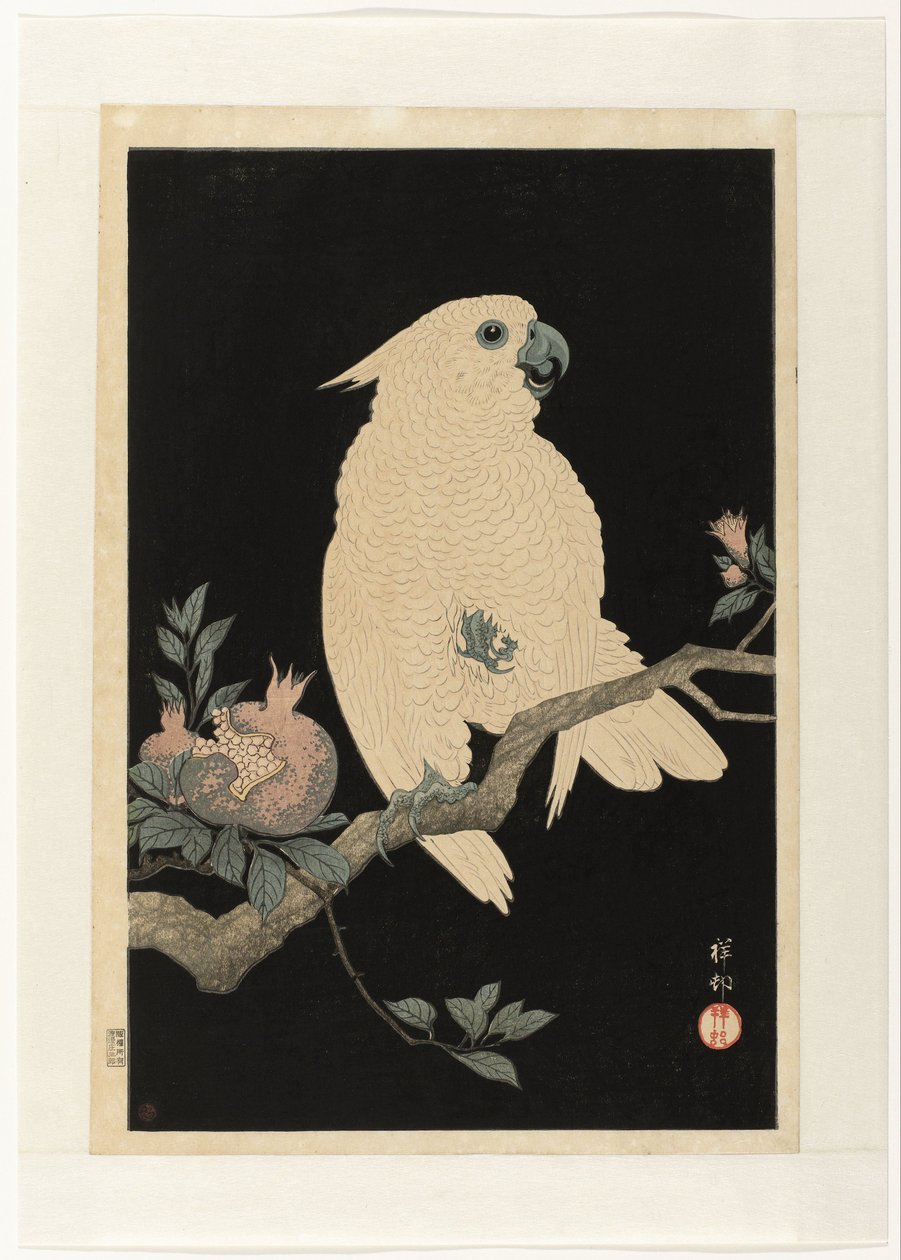 Cacatua com romã de Ohara Koson