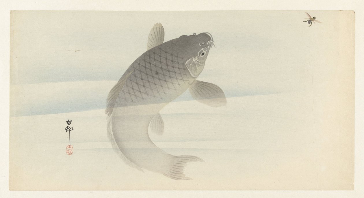 carpa e mosca de Ohara Koson
