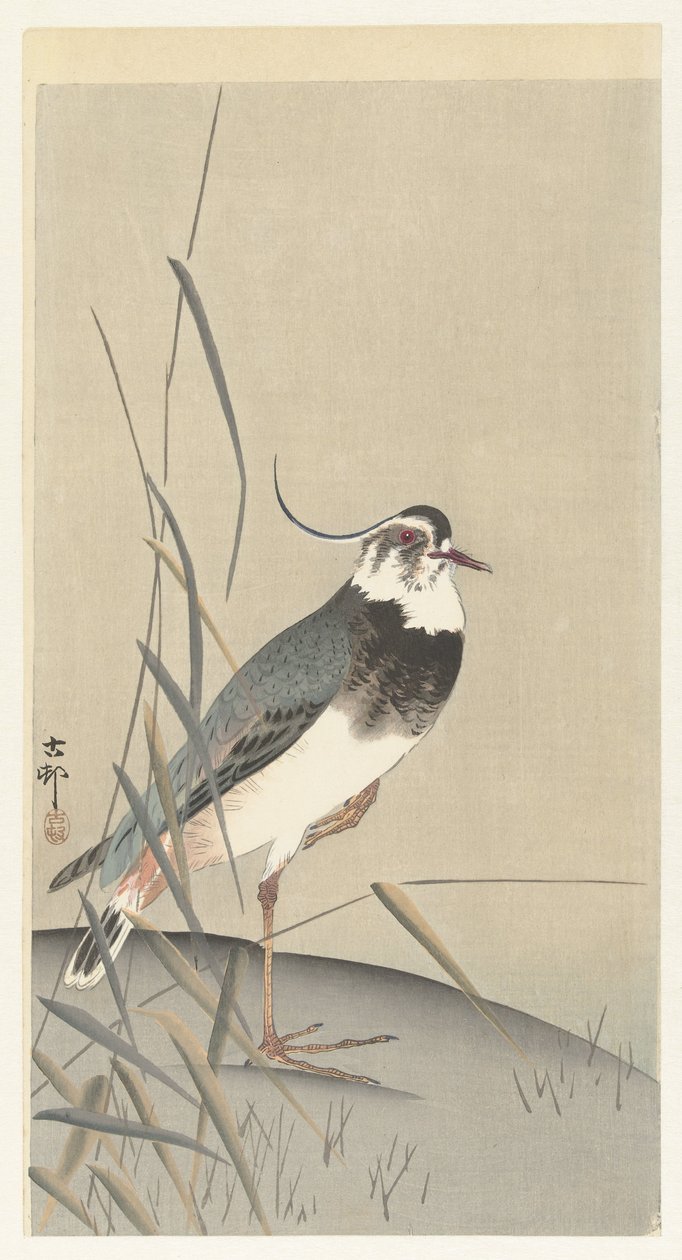 Galispo e junco de Ohara Koson