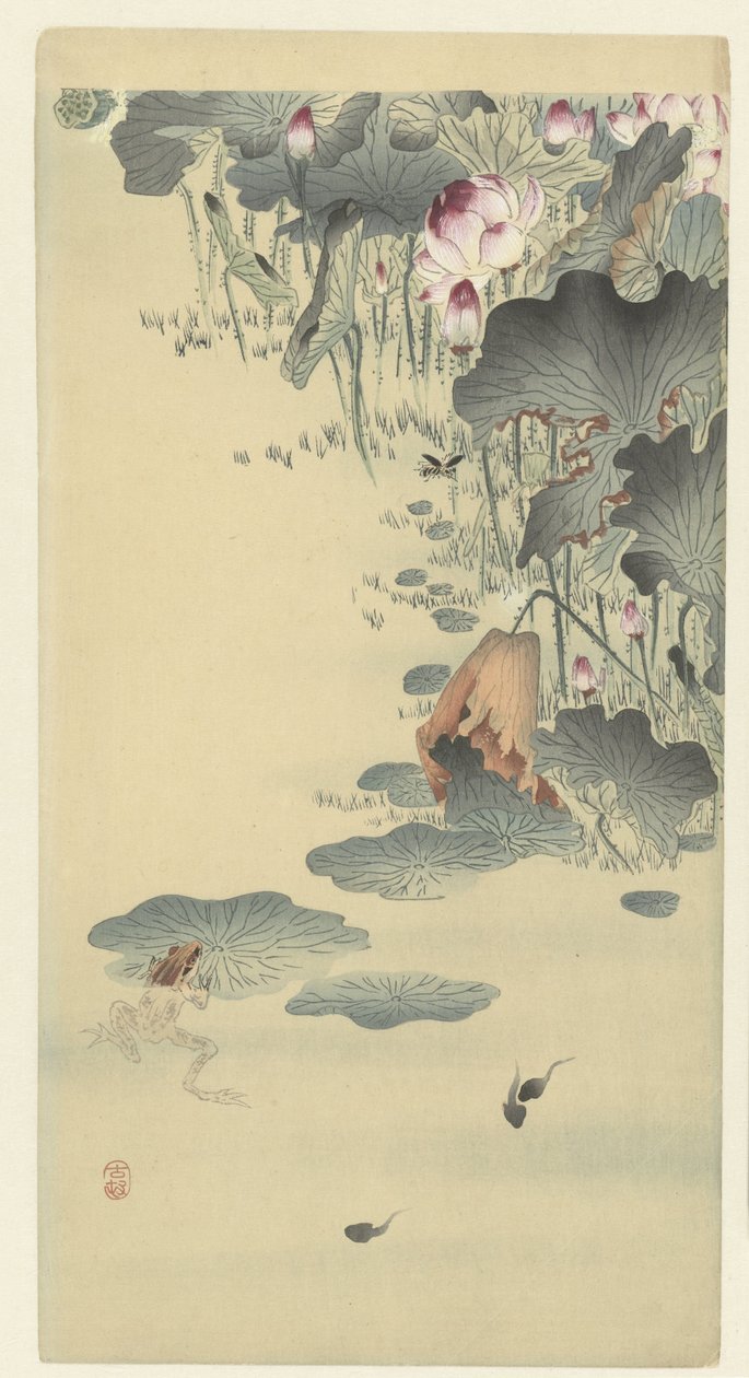 Sapos e girinos de Ohara Koson