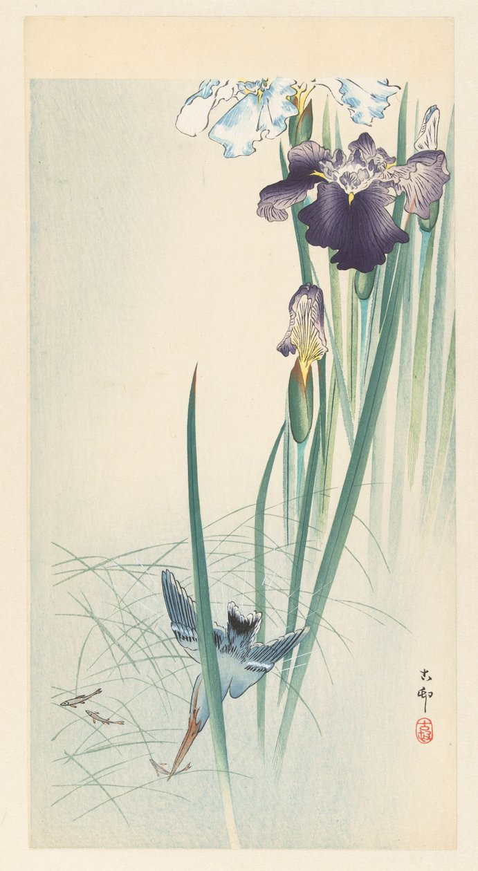 Martim-pescador e íris de Ohara Koson